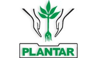 Plantar Reflorestamentos