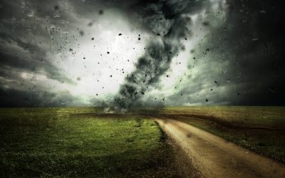 6 maneiras de lidar com as mudanças com os seus funcionários
