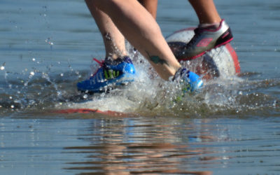 Logrolling: Descubra oportunidades de gerar ganhos mútuos