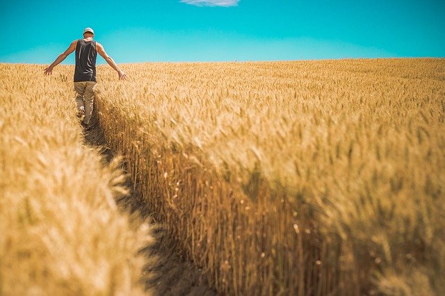 Como negociar o impossível: Irracionalidade nas negociações